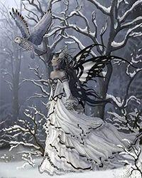 灿烂的小多肉笔趣阁